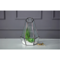 Фурӯши гарм дарунӣ ниҳол Glass Terrarium геометрӣ